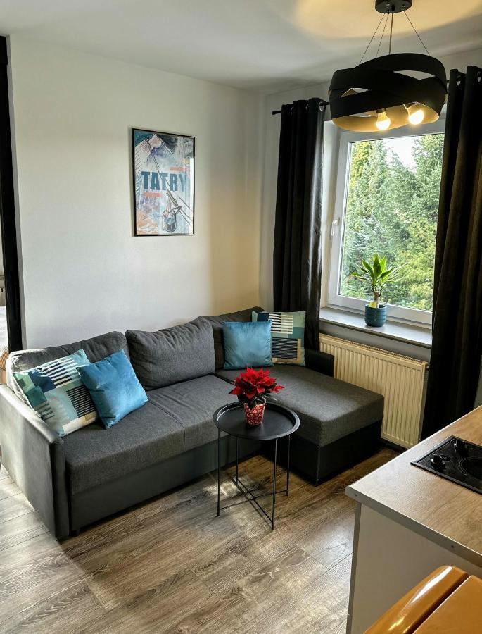 Ferienwohnung Swarny Zakatek Zakopane Exterior foto