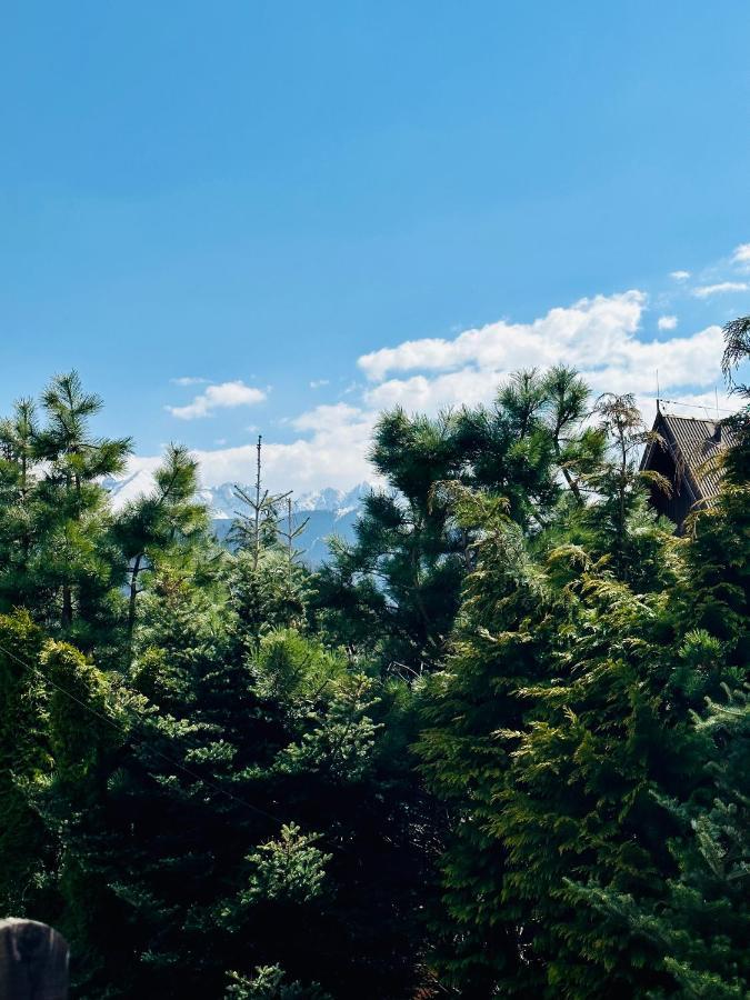 Ferienwohnung Swarny Zakatek Zakopane Exterior foto